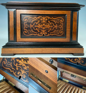 Stunning Large Antique French Cigar Caddy, Cabinet, Box 13" x 10" Marquetry Chest Holds 48 Cigars