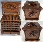 Antique Hand Carved 11.5" Swiss Black Forest Cigar Cabinet, Chest, Box Holds 55 Cigars