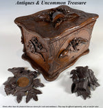 Antique Hand Carved 11.5" Swiss Black Forest Cigar Cabinet, Chest, Box Holds 55 Cigars