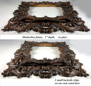 Antique Hand Carved Wood Black Forest or French Frame, Shadow Box, 16 3/4" x 14 1/2" Beauty