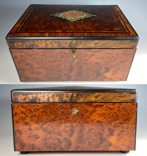 Antique French Napoleon III Burled Wood Cigar Chest, Box, Service for 48, Boulle