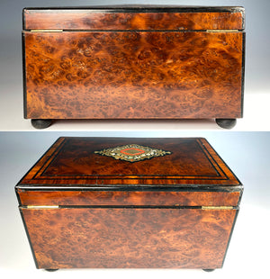 Antique French Napoleon III Burled Wood Cigar Chest, Box, Service for 48, Boulle