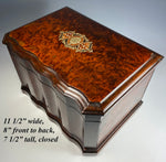 Fine Large Antique French Napoleon III Era Cigar Chest, Box, Presenter, FENOUX, Palais Royal