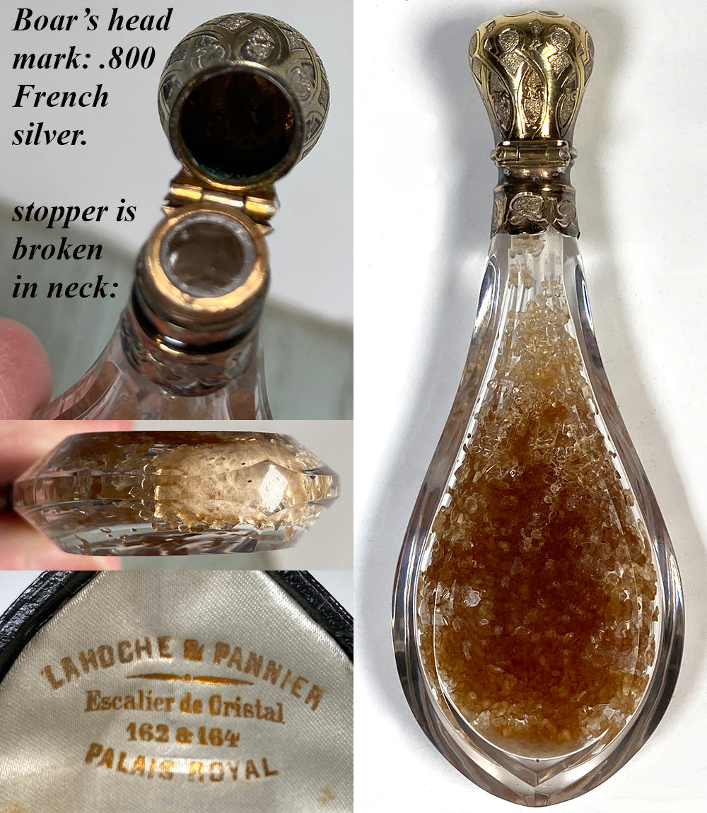 Antique French Palais Royal Perfume or Scent Bottle, Silver Vermeil Cap, Still in Camelback Box, Etui