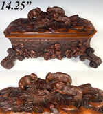 Exceptional 19th Century Antique HC Swiss Black Forest 14.25" Box, Cabriole Legs, 3 Rabbits, Hare on Top