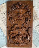 Fine Antique Hand Carved Neo-Renaissance Carved Cabinet Door Panel, Italian or French