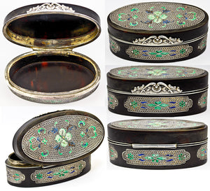 Antique Tortoise Shell Table Snuff Box, Silver and Kiln-fired Enamel, 19th Century