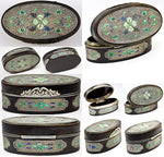 Antique Tortoise Shell Table Snuff Box, Silver and Kiln-fired Enamel, 19th Century