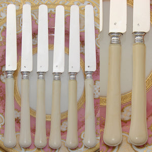 Antique French ODIOT Sterling Silver & Carved Ivory 6pc Knife Set, Armorial Crown