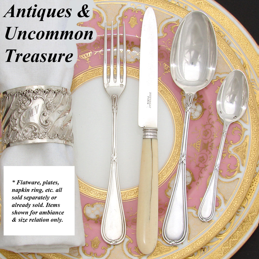 Elegant Antique French PUIFORCAT Sterling Silver & Carved Ivory 12pc Dessert Knife Set