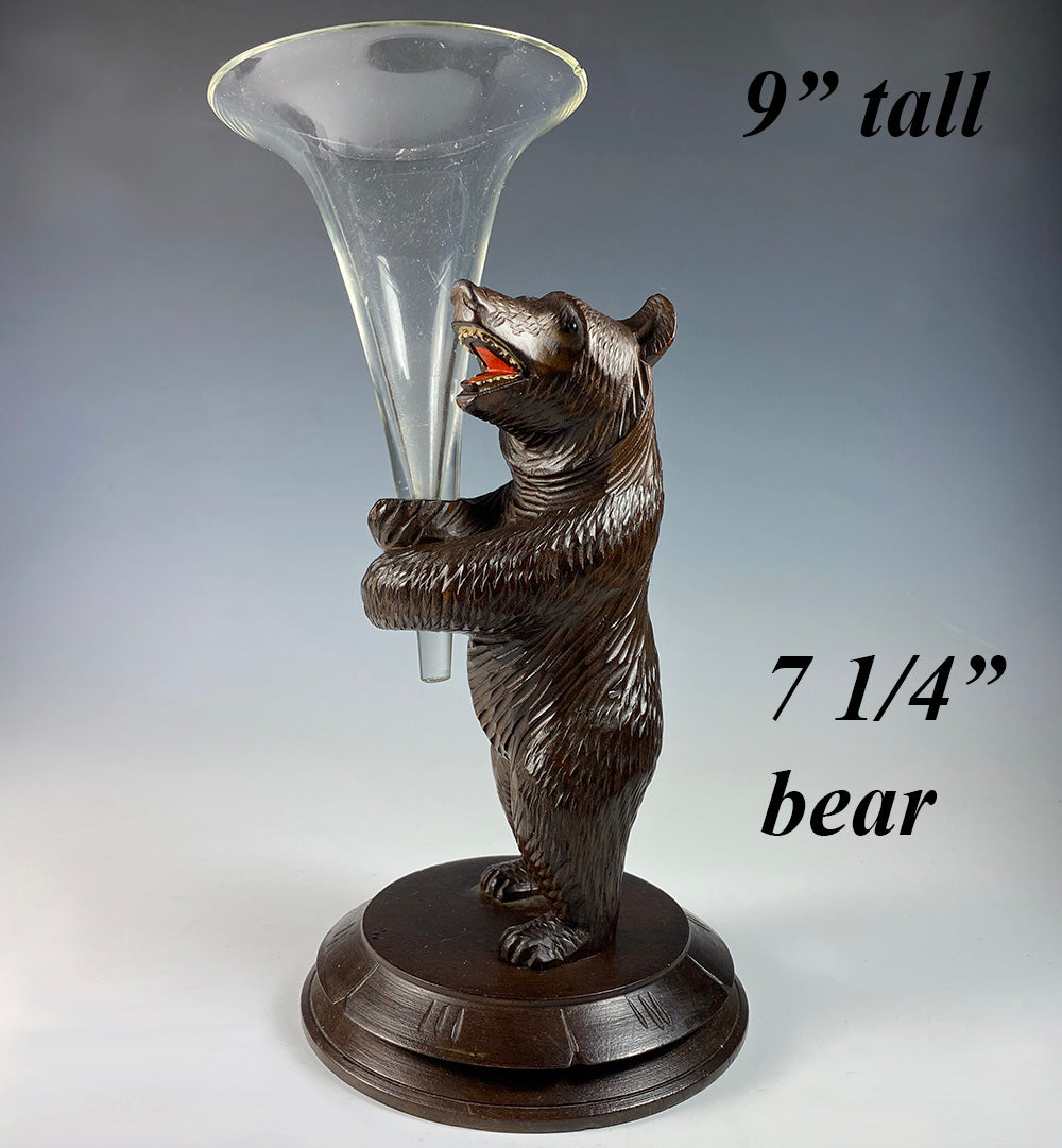 Antique 7.25" Tall Swiss Black Forest Bear with Glass Epergne, Vase Insert, Grand Tour