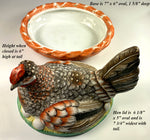 French Pottery, Hand Painted Chicken in Next, Eggs, Tureen, Casserole, Egg or Butter Container