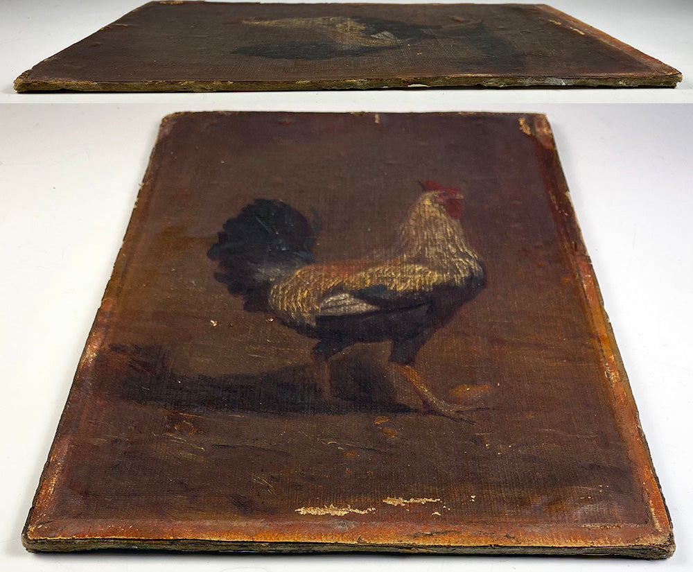 Antique Oil Painting of a Rooster, French and No Frame, Charming 9.5" x 6.5" Miniature
