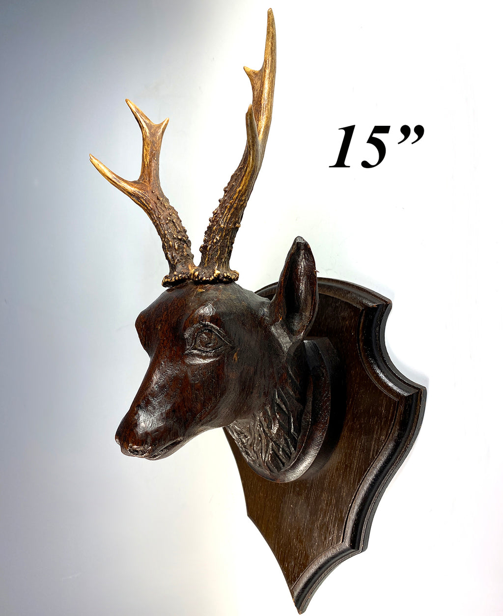 Antique Swiss Hand Carved Deer Head w Real Antlers on Wall Plaque, Fruits of the Hunt