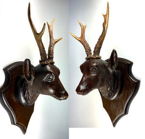 Antique Swiss Hand Carved Deer Head w Real Antlers on Wall Plaque, Fruits of the Hunt