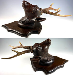 Antique Swiss Hand Carved Deer Head w Real Antlers on Wall Plaque, Fruits of the Hunt