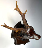 Antique Swiss Hand Carved Deer Head w Real Antlers on Wall Plaque, Fruits of the Hunt