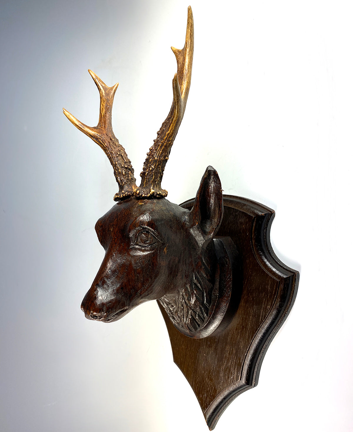 Antique Swiss Hand Carved Deer Head w Real Antlers on Wall Plaque, Fruits of the Hunt