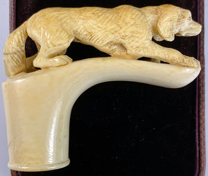 Antique French Carved Ivory Cane or Parasol Handle, Hunting Dog, Spaniel, Hound