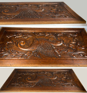 Large Antique Carved Wood Cabinet Panel, Griffen Gryphon, Mythical Neo Renaissance