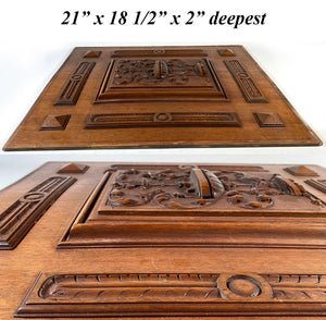 Gorgeous Pair of 21" x 18.5" Hand Carved Antique French Cabinet or Paneling Door Panels
