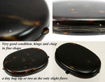 RARE Antique French Minaudiére or Compact, Sterling Silver & Tortoise Shell - Oval Tortoiseshell