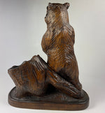 Antique Black Forest Carved Bear Cigar or Pipe Smoker's and Match Stand, 7.5" Tall