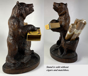 Antique Black Forest Carved Bear Cigar or Pipe Smoker's and Match Stand, 7.5" Tall