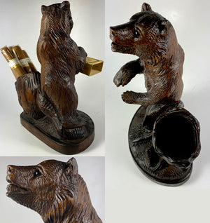 Antique Black Forest Carved Bear Cigar or Pipe Smoker's and Match Stand, 7.5" Tall