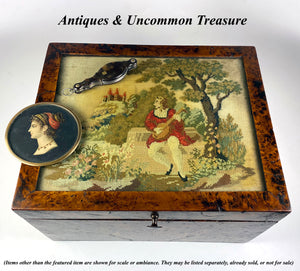 Antique French Needlepoint & Burled Wood Sewing or Work Box, Cigar Box, c. 1830-50