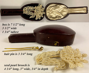 RARE Antique Georgian Seed Pearl 4.5" x 3" Brooch, Hair Pin, Original Box - Museum!