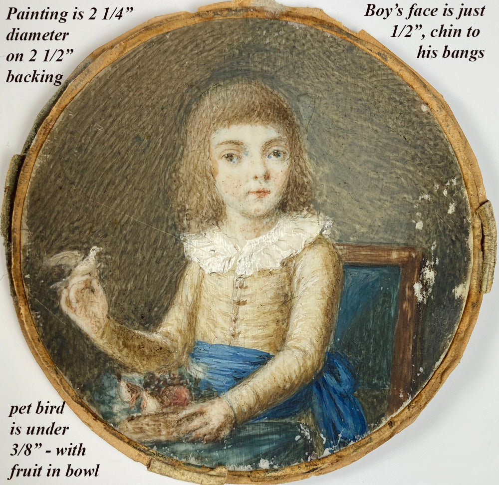 Antique Portrait Miniature of a Child, Boy with Pet Canary and Fruit, c.1780-1830