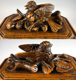 Antique 19th c. Hand Carved Swiss Black Forest Jewelry Box, Casket w Fine Animalier Bird