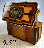 Superb Antique French Napoleon III Double Well Tea Caddy, Marquetry and Boulle, Maker Mark