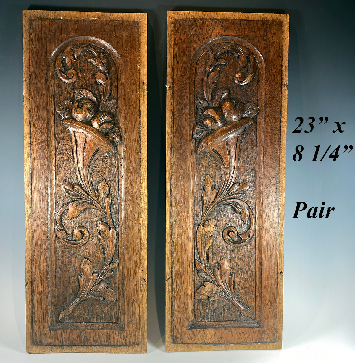 Pair (2) of Antique French Hand Carved Neoclassical Wood Panels, Cabinet Doors, Insets