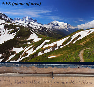 Antique 19th c. Oil Painting in Frame, Valley of Chamonix Mont Blanc, Switzerland, Artist Signed