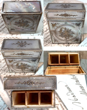 Superb 18th Century French Necessaire, Scent or Perfume Caddy in Mother of Pearl and Ivory, Inlays of Silver and Gold