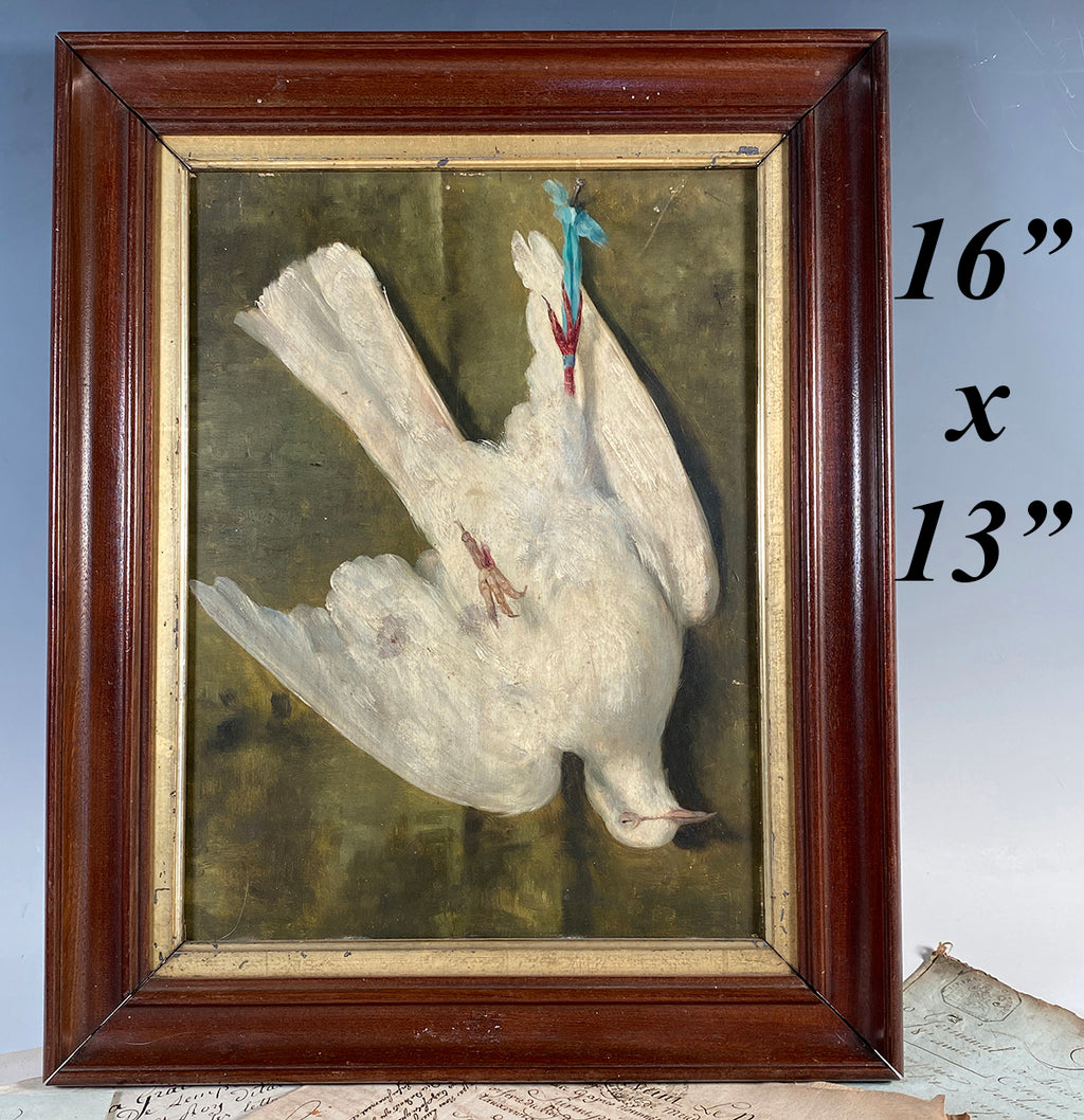 Antique Early 20th Century French Still Life, Nature Morte on Board, White Dove In 16" x 13" Frame, Post Impressionist