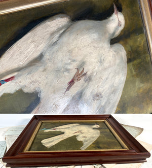 Antique Early 20th Century French Still Life, Nature Morte on Board, White Dove In 16" x 13" Frame, Post Impressionist