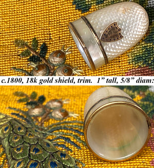 Antique c.1800 French Palais Royal Sewing Thimble, Mother of Pearl and 18k Gold Trim, Shield