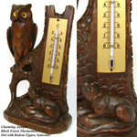 Charming Antique Black Forest Thermometer Stand, Owl & Rodent, Swiss Souvenir