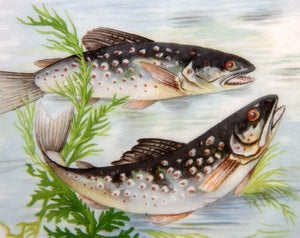 Antique - Vint. Haviland Limoges Set of 11 Transfer & Painted Fish Plates, 8.5"