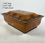 Early 1800s Antique French Lemonwood Sewing Casket, Box, Coffret, Steel Pique