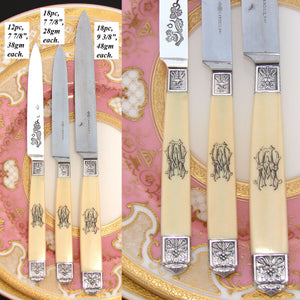 Spectacular Antique French Cardeilhac 48pc Ivory Sterling Silver Table Knife Set, 18/18/12, Orig. Box