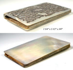 Antique French Mother of Pearl and Sterling Silver Calling Card Case Necessaire