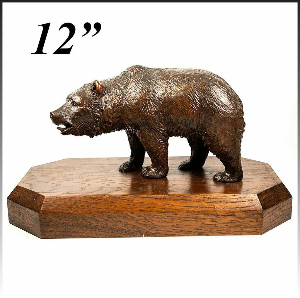 Antique HC Black Forest Bull Bear, 8+" on 12" Wood Plinth, 19th c. Animalier