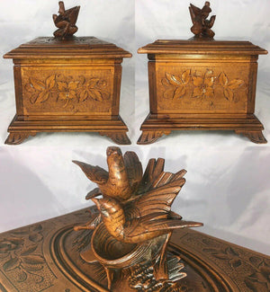 Antique Black Forest Carved 9.25" Cigar Chest, Box, Caddy, Lovebirds & Nest