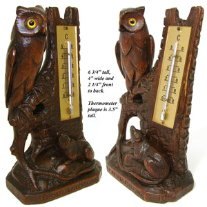 Charming Antique Black Forest Thermometer Stand, Owl & Rodent, Swiss Souvenir