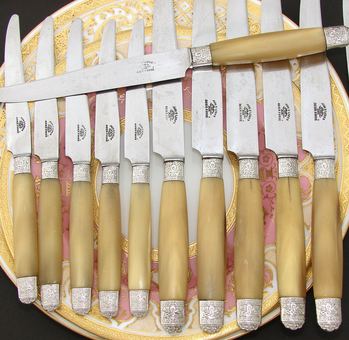 Antique French Empire Style 27pc Dinner Knife Set, Genuine Horn & Silv –  Antiques & Uncommon Treasure