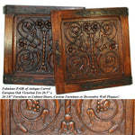 PAIR Antique Victorian 20" Carved Architectural Furniture Door Panels, Gothic